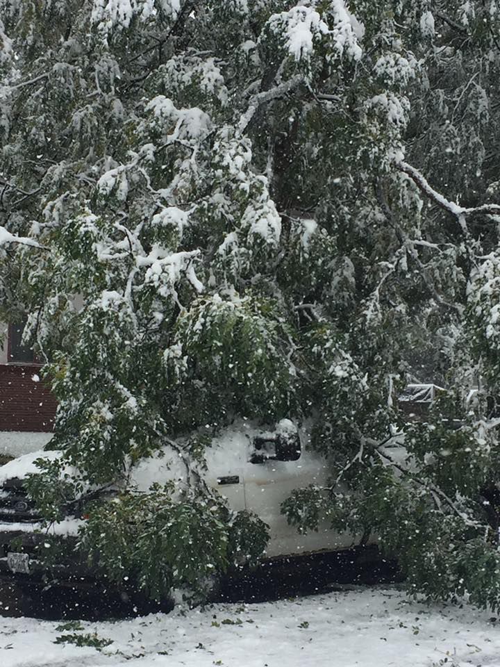 Snow, 10/14